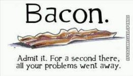 Bacon solves everything | Very Funny Pics