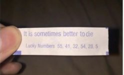 this_fortune.jpg