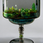 TribbleZA_tall_water_glass_with_a_miniature_garden_inside_3abc2927-df46-4a07-a679-0929a9a9e12f.png
