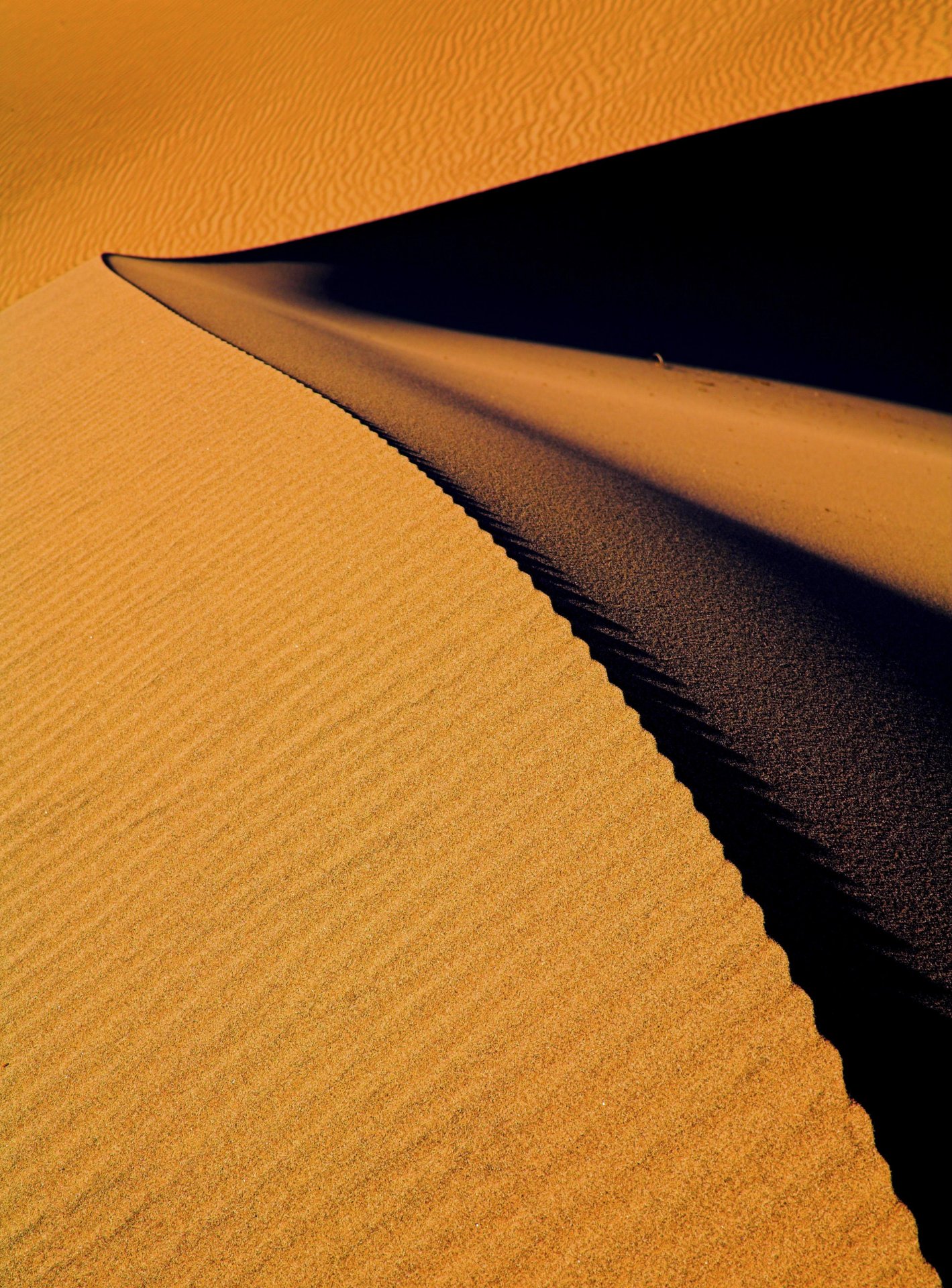 Mesquite Flat Dunes, Death Valley National Park, California, USA.jpg
